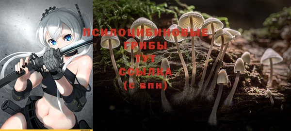 не бодяженный Абинск